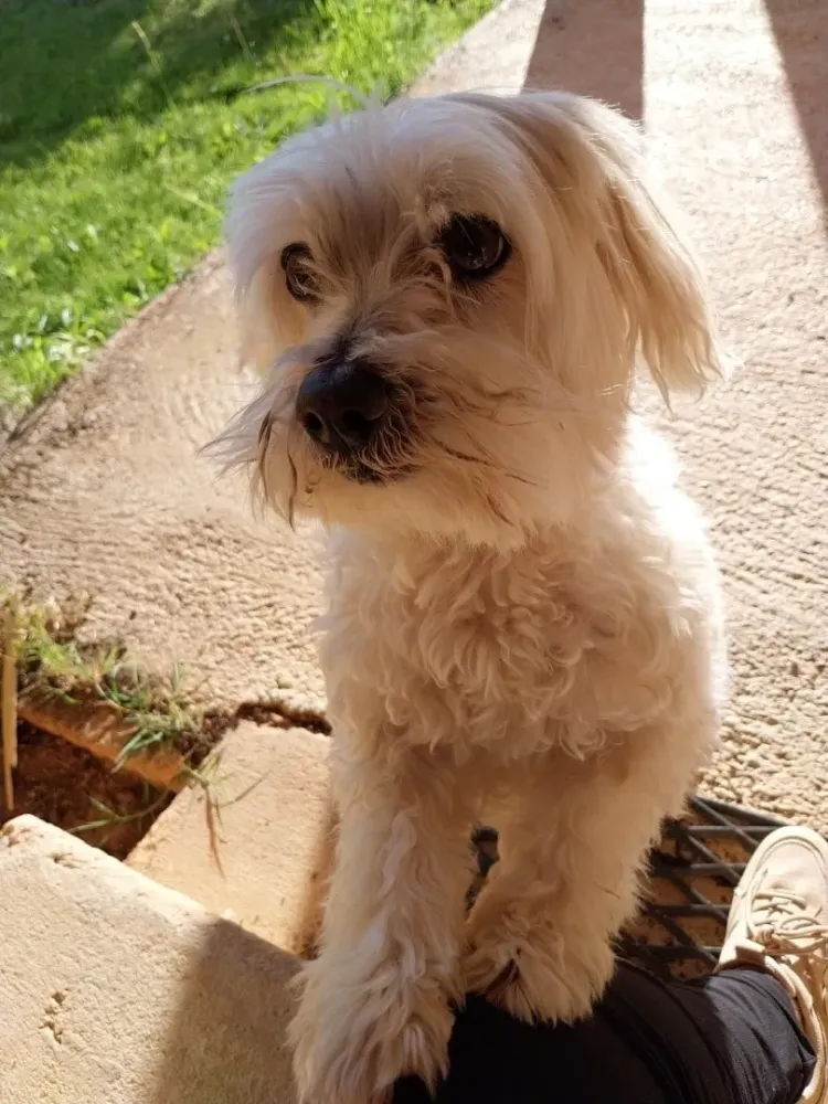 Pet sitting à Saint-Maximin-la-Sainte-Baume